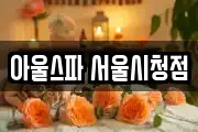 아울스파 서울시청점