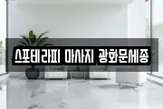 스포테라피 마사지 광화문세종