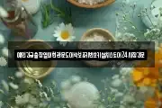 예인긴급출장열쇠현관문도어락보조키번호키설치스토어24시잠긴문
