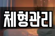 체형관리