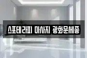 스포테라피 마사지 광화문세종