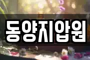 동양지압원