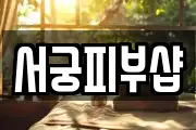 서궁피부샵