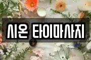 시온 타이마사지
