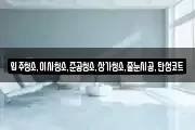 입주청소,이사청소,준공청소,상가청소,줄눈시공,탄성코트