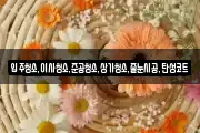 입주청소,이사청소,준공청소,상가청소,줄눈시공,탄성코트