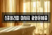 스포테라피 마사지 광화문세종