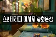 서울특별시 종로구 사간동 마사지, 지압등 업체정보