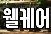 웰케어