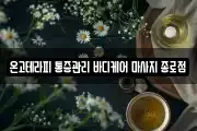 서울특별시 종로구 삼청동 마사지, 지압등 업체정보