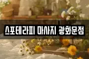 스포테라피 마사지 광화문점