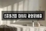 스포테라피 마사지 광화문세종