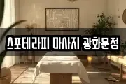 서울특별시 종로구 안국동 마사지, 지압등 업체정보