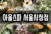아울스파 서울시청점