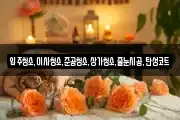 입주청소,이사청소,준공청소,상가청소,줄눈시공,탄성코트