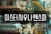 미스터사우나앤스파