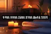 입주청소,이사청소,준공청소,상가청소,줄눈시공,탄성코트