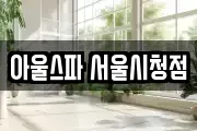 아울스파 서울시청점