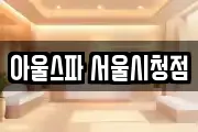 아울스파 서울시청점