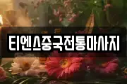 티엔스중국전통마사지