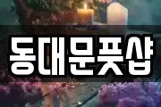 동대문풋샵