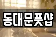 동대문풋샵