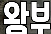 왕부