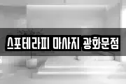 서울특별시 종로구 창성동 마사지, 지압등 업체정보
