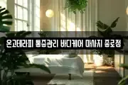 온고테라피 통증관리 바디케어 마사지 종로점