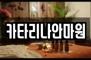 서울특별시 종로구 청운동 마사지, 지압등 업체정보