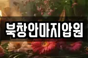 북창안마지압원