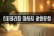 서울특별시 종로구 체부동 마사지, 지압등 업체정보