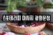 서울특별시 종로구 통인동 마사지, 지압등 업체정보