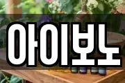 아이보노