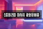 스포테라피 마사지 광화문세종