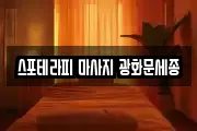 스포테라피 마사지 광화문세종