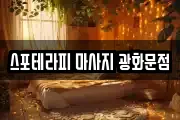 서울특별시 종로구 화동 마사지, 지압등 업체정보