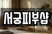 서궁피부샵
