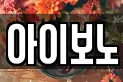 아이보노
