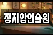 정지압안술원