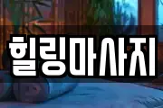 서울특별시 중구 광희동1가 마사지, 지압등 업체정보