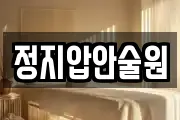 정지압안술원