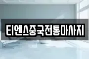 티엔스중국전통마사지