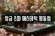 장금 스파 에스테틱 명동점
