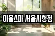 아울스파 서울시청점
