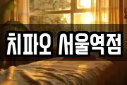 서울특별시 중구 남대문로5가 마사지, 지압등 업체정보