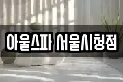 아울스파 서울시청점