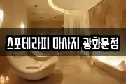 스포테라피 마사지 광화문점