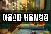 아울스파 서울시청점