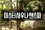 미스터사우나앤스파